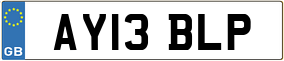 Truck License Plate
